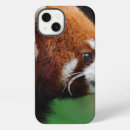 Search for panda ipad cases Cute