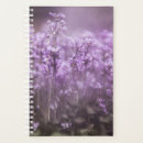 Search for cuckoo Cuckoo flower