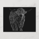 Search for cow drawing postcards Bull