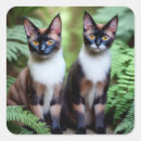Search for siamese cat stickers Animals