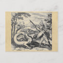 Search for gladiator postcards Armour