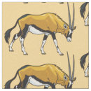 Search for oryx Gazelle