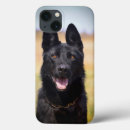 Recherche de chien de berger iphone coques Animal de compagnie