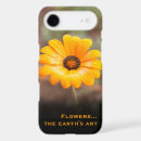 Search for orange daisy photography Floral
