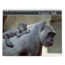 Search for gorilla calendars Primate
