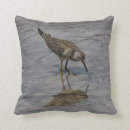 Recherche de réflexions coussins Gris