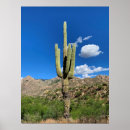 Recherche de saguaro cactus posters Nature