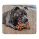 Recherche de crabe planches à découper Animal