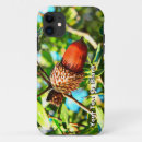 Recherche de chêne iphone coques Acorn