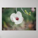 Search for japanese flowers posters White