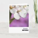 Search for dewdrops cards Nature