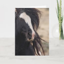 Search for mustang cards Wyoming