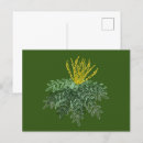 Search for shrubs postcards Plants