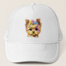 Search for yorkies hats Puppies