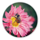 Search for bumble bee knobs and pulls Nature