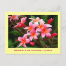 Recherche de fleurs hawaïennes cartes postales Floral