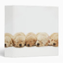 Search for puppy binders Canine