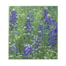 Search for wild notepads Flower