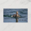 Recherche de bec cartes visite Faune