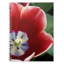 Search for keukenhof Colourful