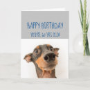 Search for fun 60th birthday cards Sixty