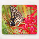 Search for swallowtail butterfly electronics Insect