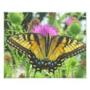 Recherche de chardon posters Violet