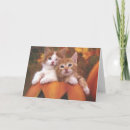 Search for sweet halloween cards Kitten