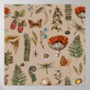 Search for vintage mushroom art posters Fern