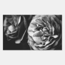 Search for petals rectangle stickers Rose