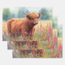 Search for cows wrapping paper Highland cow
