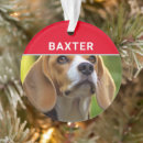 Recherche de de beagle maison deco Dogs