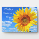 Search for sunflower plaques Nature