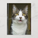 Recherche de choqué posters Effrayé