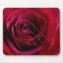 Search for red weddings mousepads Rose