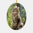 Search for brown tabby cat ornaments Feline
