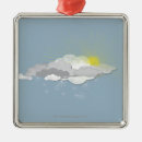 Search for cold temperature ornaments Outdoors