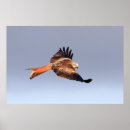 Recherche de grand observé posters Rouge