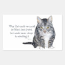 Search for pet rectangle stickers Cats