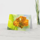 Search for sunlit cards Flower