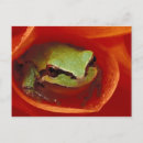 Recherche de dahlia cartes postales Vert
