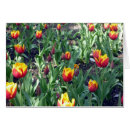 Recherche de bouquet orange photographie Fleur