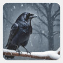 Search for black raven birds stickers Animal