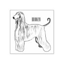 Recherche de afghan Dog