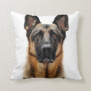 Recherche de berger allemand coussins Animal