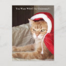 Search for grumpy cat christmas cards Humourous