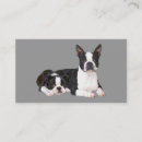 Recherche de boston ma cartes visite Chien