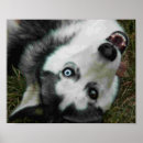 Search for anthro art Dog