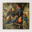 Recherche de de perroquet puzzles Tropical
