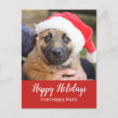 Search for pet sitter business supplies Puppy